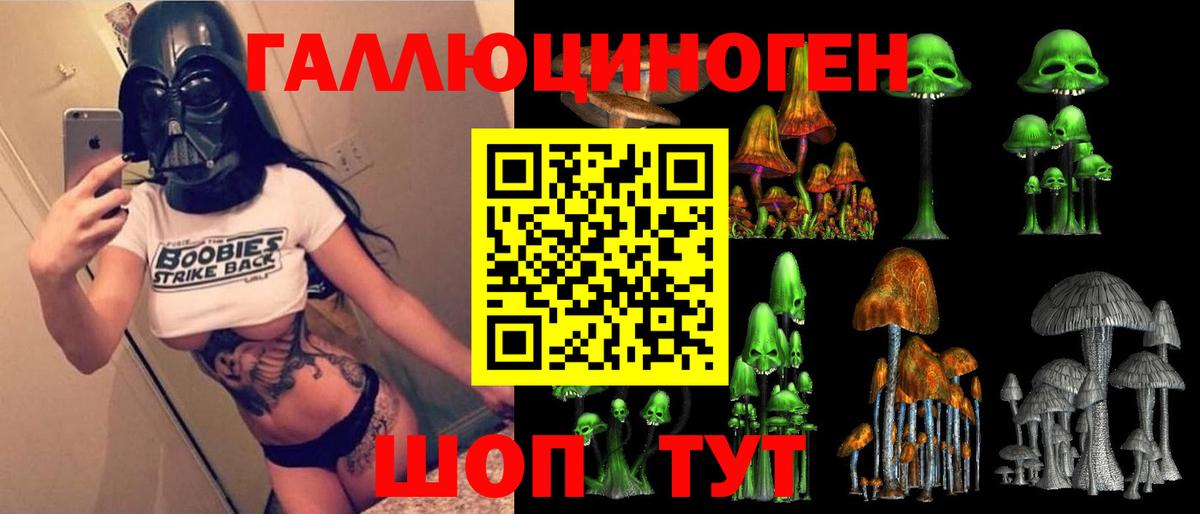 наркотики  Псилоцибиновые грибы Magic Shrooms  Вход с VPN  Сальск 